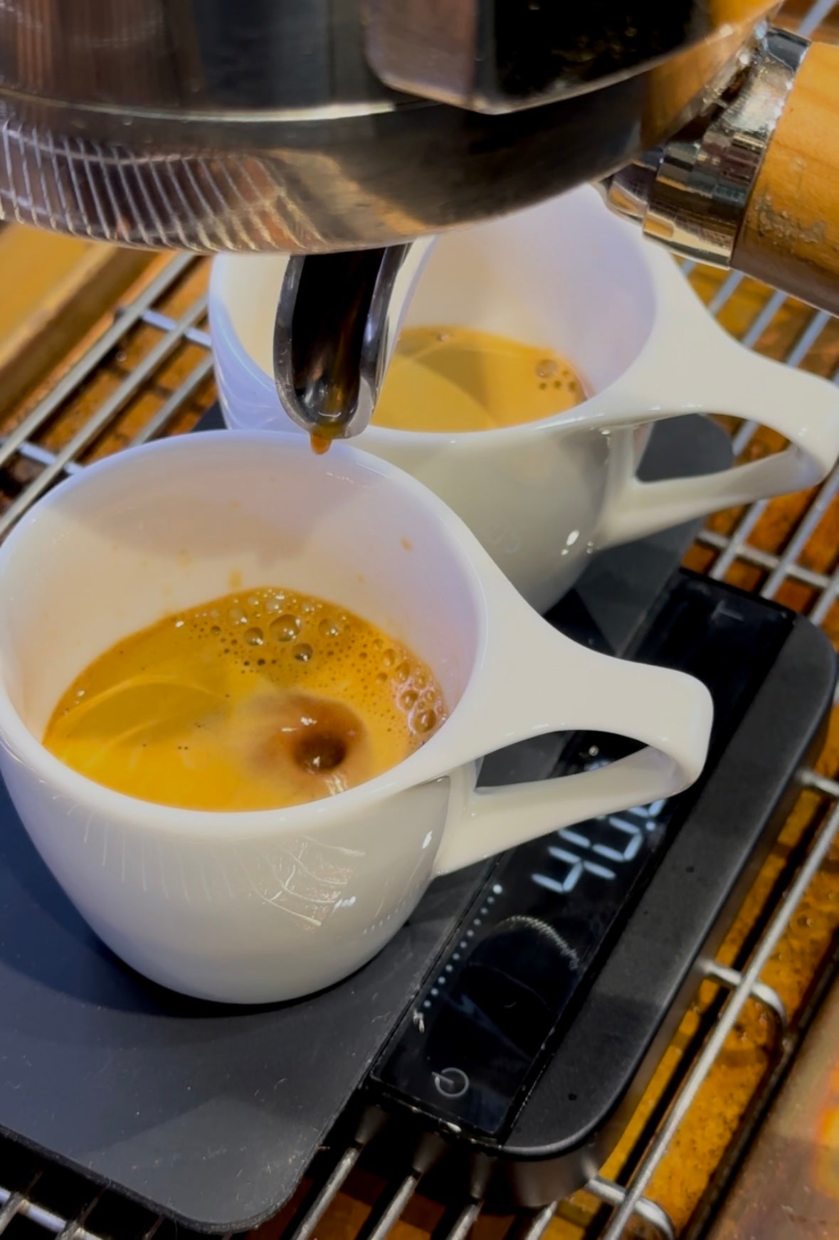 SCA Course Barista Foundation – GOTA Coffee Experts