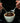 MAKING SENSE OF COFFEE - GOTA Coffee Experts